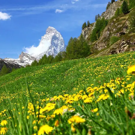Apartment Grillon-3 By Interhome Zermatt